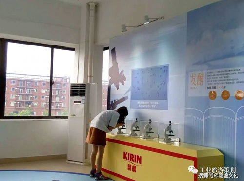 麒麟一番榨 畅享纯正啤酒之旅，尽在观光工厂与贴心服务